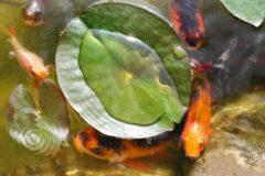 06-22 - bettelsäcke